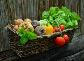 W jakich odstępach sadzić warzywa?