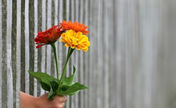 Ile kosztuje metr ogrodzenia panelowego z montażem? Ile kosztuje metr ogrodzenia panelowego z montażem?