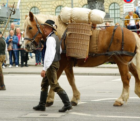 W co ubierali się chłopi?